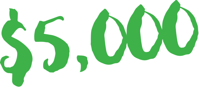 5000 5000
